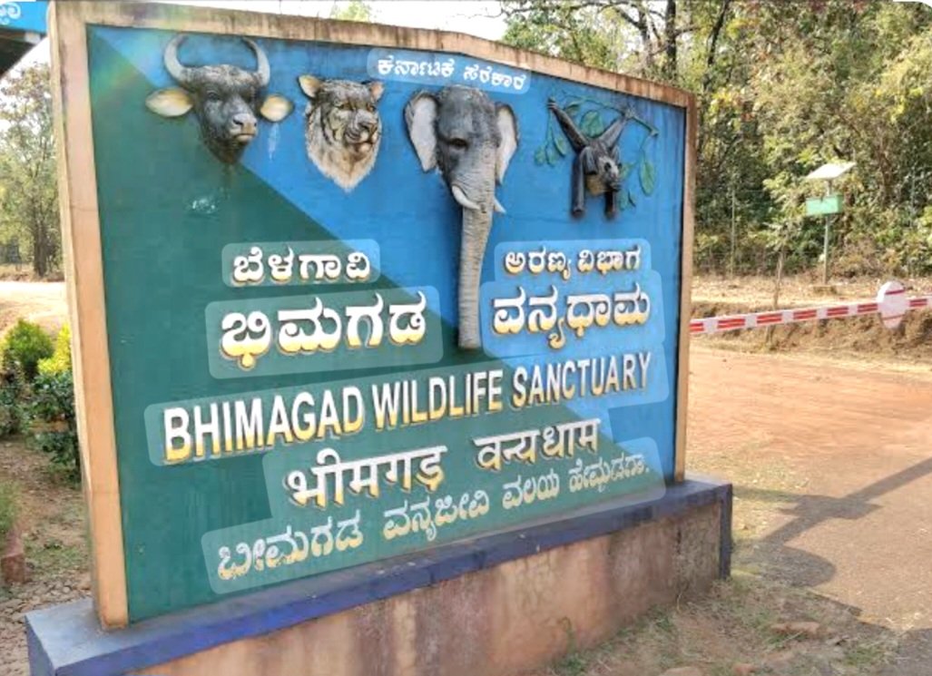 ಬೆಳಗಾವಿ ಅರಣ್ಯ ಪ್ರದೇಶ ಮತ್ತು ಜಲಪಾತಗಳಿಗೆ ಪ್ರವೇಶ ನಿಷೇಧ – ಅಕ್ರಮ ಪ್ರವೇಶಕ್ಕೆ ಕಾನೂನು ಕ್ರಮದ ಎಚ್ಚರಿಕೆ